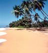SRI LANKA Beruwela Ü. F. 10 00 Euro. Preiswerte Rundreisen