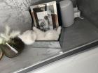 Kitten BKH shadow Silver Blue Point