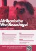 Afrikanische Weißbauchigel